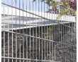 Doppelstabgittermatte 8/6/8 verzinkt (silberfarben) -83cm