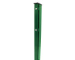 Grün RAL 6005