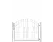1006 mm