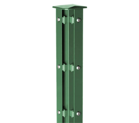 Grün RAL 6005